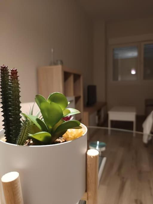 La Morada Lejlighed Salamanca Eksteriør billede